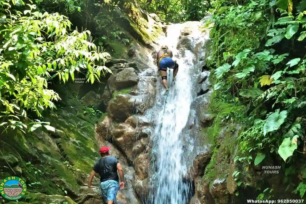 Velo de las Ninfas