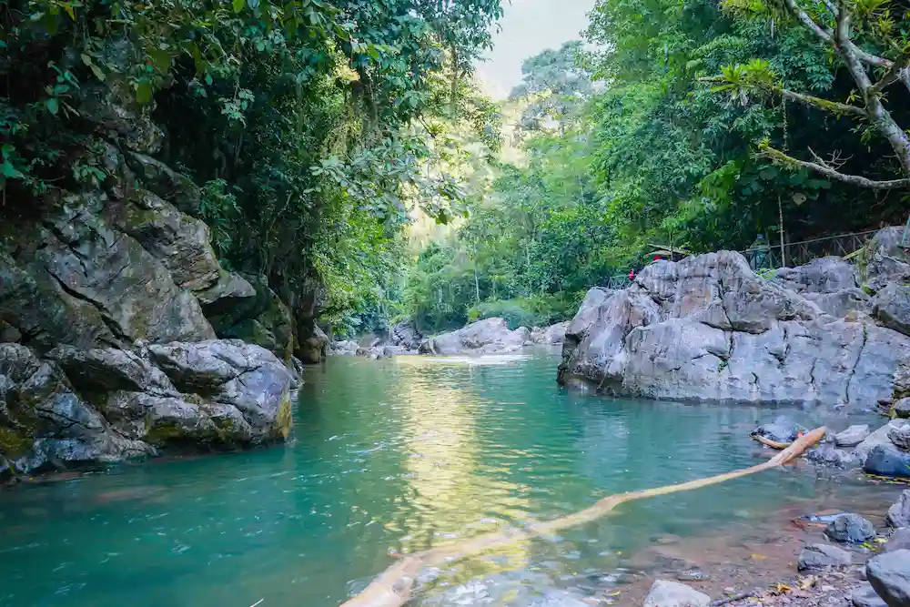 Cueva de las Pavas